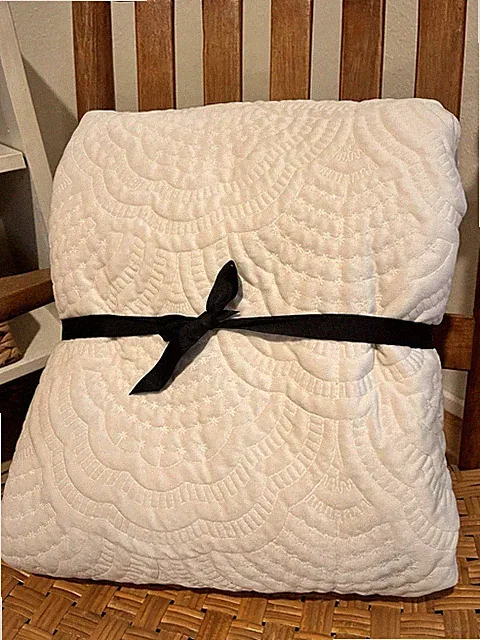 Sherry Kline Bedding Cashmere Velvet Quilted Comforter Ivory Queen Size